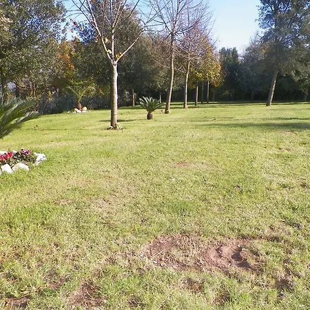 Farm stay Tenuta Terra Tefra Conca della Campania